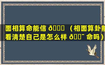 面相算命能信 🐎 （相面算卦能看清楚自己是怎么样 🐯 命吗）